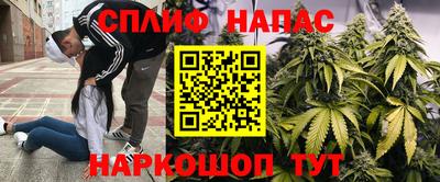 ГАЛЛЮЦИНОГЕННЫЕ ГРИБЫ Краснокаменск