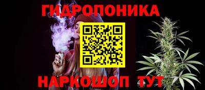 спиды Краснодар